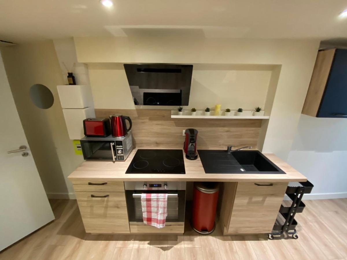 Bel Appartement Avec Place De Parking A Proximite 沙拉罗讷河畔沙蒂永 外观 照片